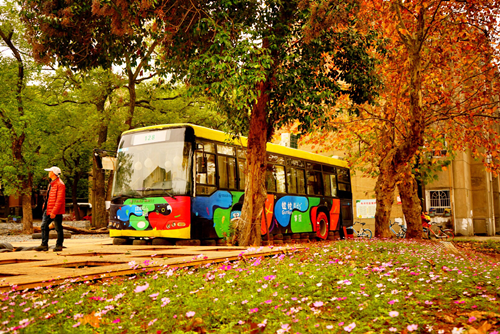 周晨:聯結——面向生態文明的風景園林教育實踐