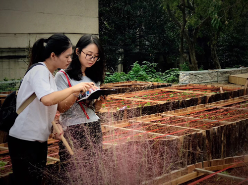 周晨:聯結——面向生態文明的風景園林教育實踐