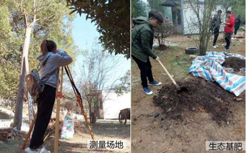 周晨:聯結——面向生態文明的風景園林教育實踐