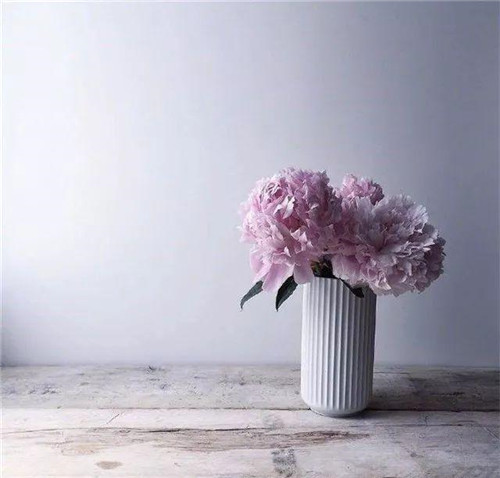 插花藝術(shù)讓你更懂得生活的情調(diào)