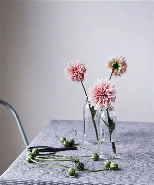 插花藝術(shù)讓你更懂得生活的情調(diào)