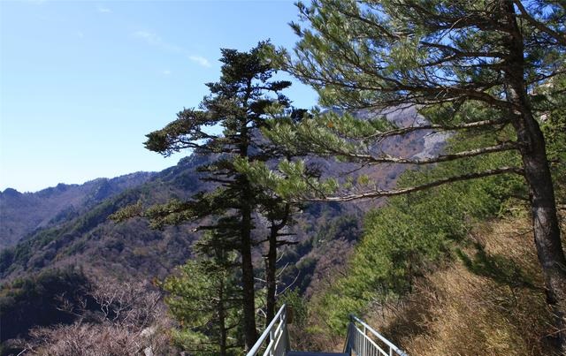 陜西朱雀國家森林公園攝影作品欣賞