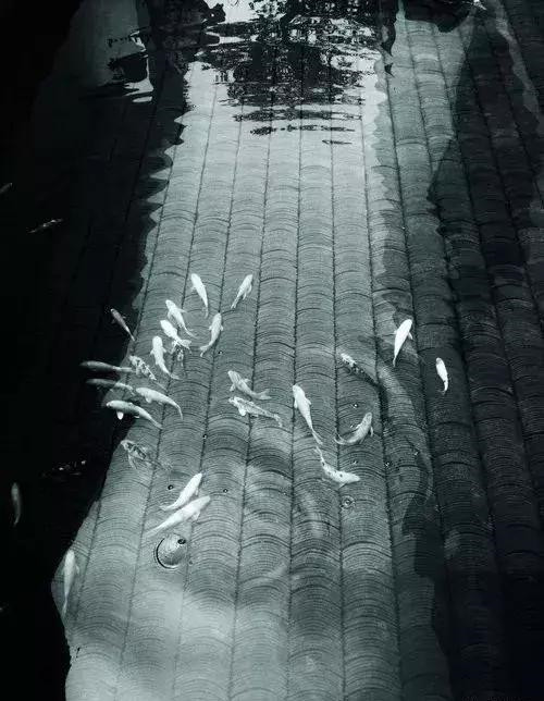 8種庭院水景,想不擁有都不行