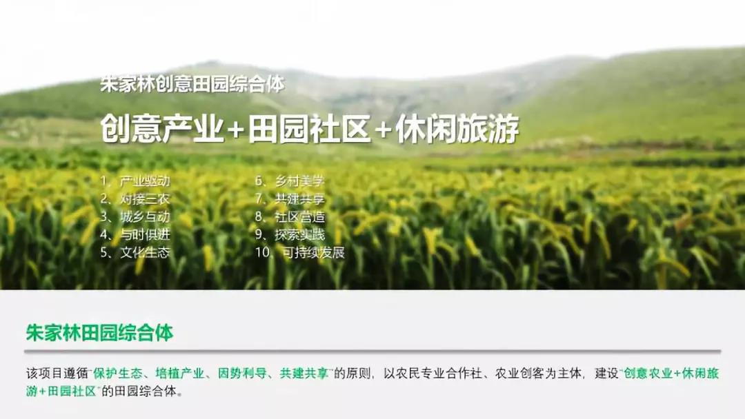 山東朱家林國家級田園綜合體規(guī)劃方案