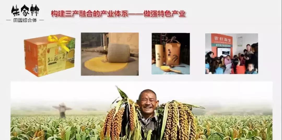 山東朱家林國家級田園綜合體規(guī)劃方案