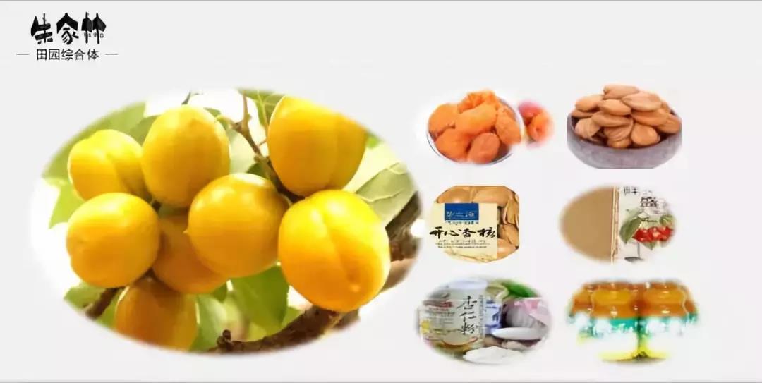 山東朱家林國家級田園綜合體規(guī)劃方案