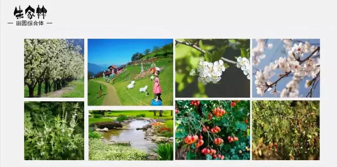 山東朱家林國家級田園綜合體規(guī)劃方案