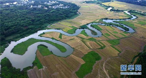海口:濕地入城美如畫