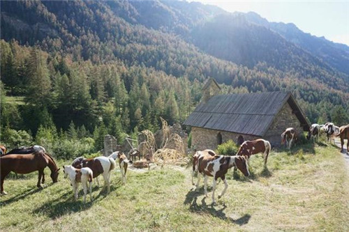 自然保護區里的“怪獸”