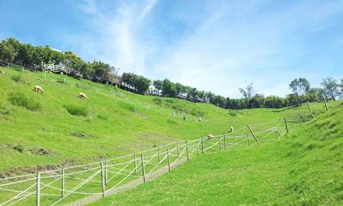 號(hào)稱(chēng)小瑞士 臺(tái)灣清境農(nóng)場(chǎng)規(guī)劃及盈利模式