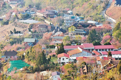 號(hào)稱(chēng)小瑞士 臺(tái)灣清境農(nóng)場(chǎng)規(guī)劃及盈利模式