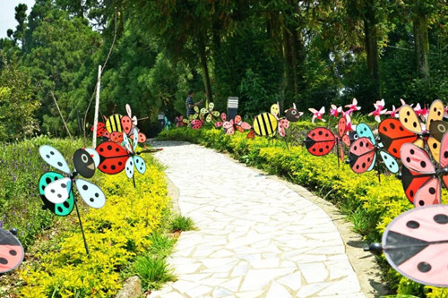 號(hào)稱(chēng)小瑞士 臺(tái)灣清境農(nóng)場(chǎng)規(guī)劃及盈利模式