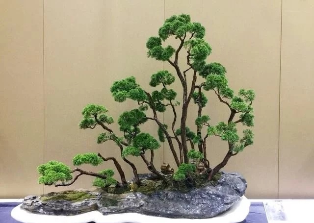 這些怪樁做成的盆景，隨便一盆都能換套房