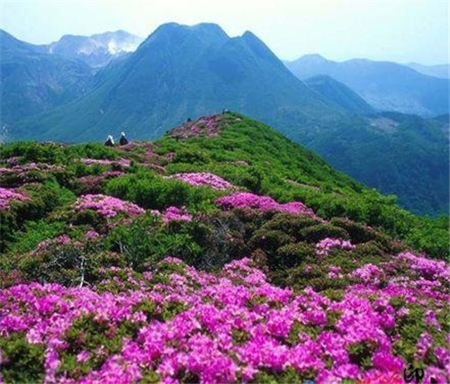 荔波樟江風景名勝區(qū)——中國的超級盆景