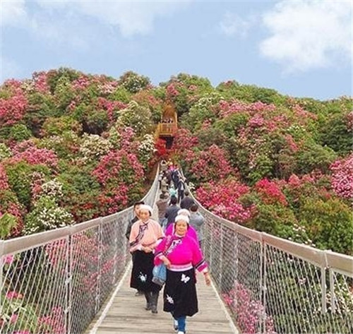 荔波樟江風景名勝區(qū)——中國的超級盆景