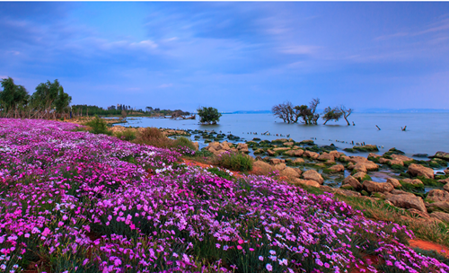 北京清控人居研究院兩項目獲IFLA AAPME獎