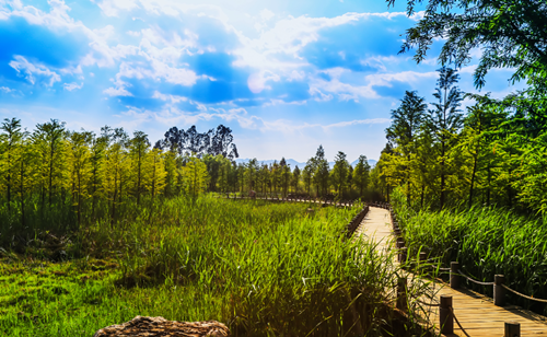 北京清控人居研究院兩項目獲IFLA AAPME獎