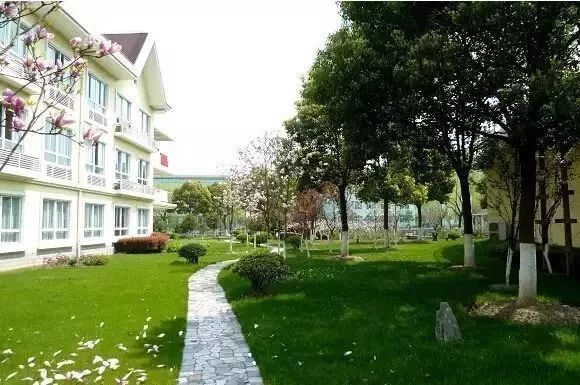 養(yǎng)老院的康復性景觀設計需要注意什么?