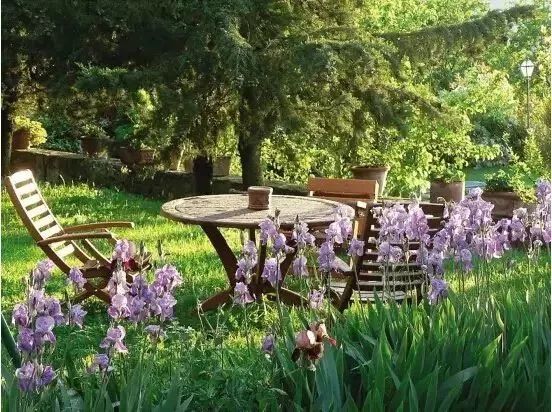 養(yǎng)老院的康復性景觀設計需要注意什么?