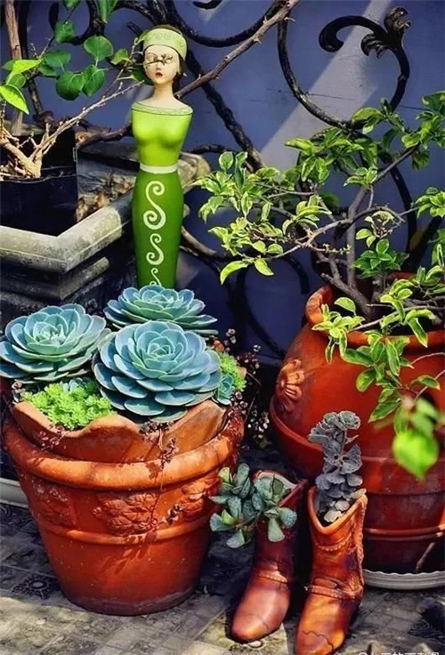 庭院設計里的多肉植物景觀