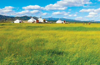 看內蒙古如何用中國智慧修復大草原