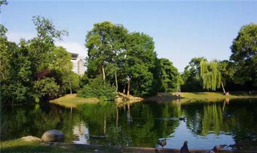 城市公園作為公共空間,如何展現城市魅力