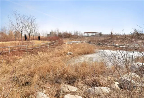 城市公園作為公共空間,如何展現城市魅力