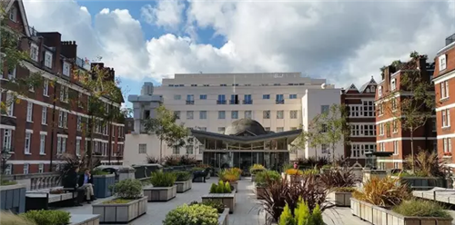 城市公園作為公共空間,如何展現城市魅力