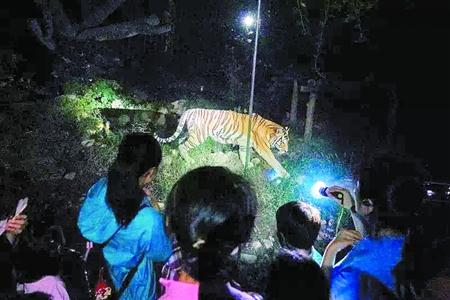 上海：公園推出科普夜游受熱捧