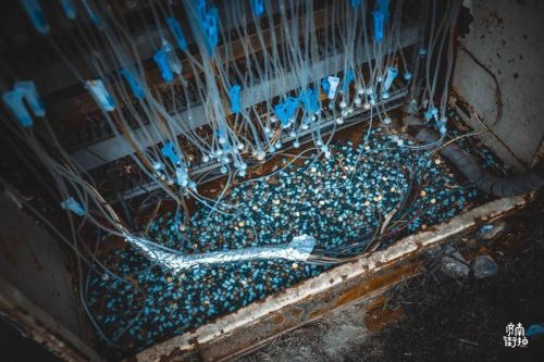 1956如釋藝術工場