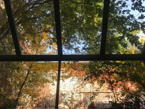 1956如釋藝術工場