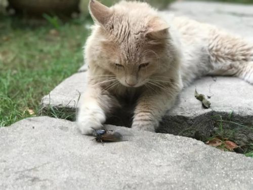 1956如釋藝術工場