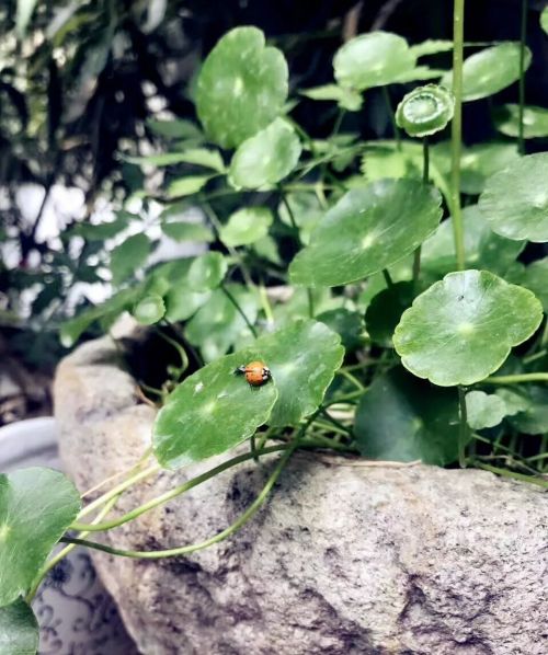 1956如釋藝術工場