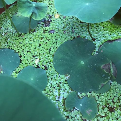 1956如釋藝術工場