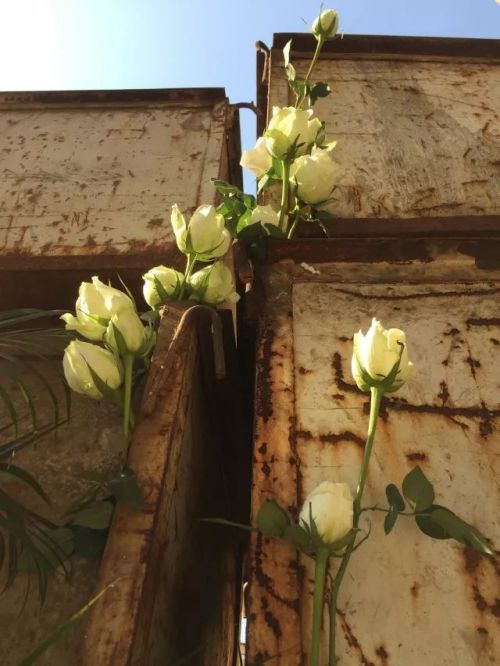 1956如釋藝術工場