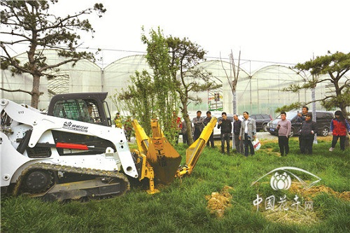 “狼”來了,你會跟誰“跑”?