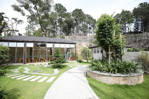 珠海鬧市中,藏著一座琴棋書畫的“世外園林”