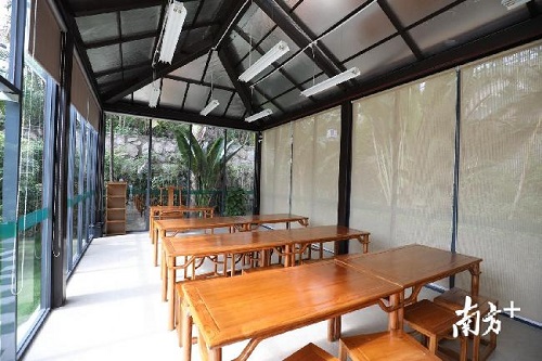 珠海鬧市中,藏著一座琴棋書畫的“世外園林”