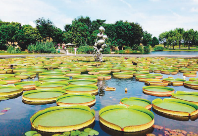 廢棄礦山變公園