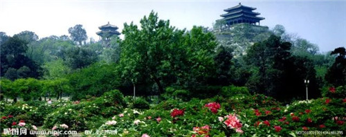 “公園—城市”關系的歷史變遷與發展趨勢