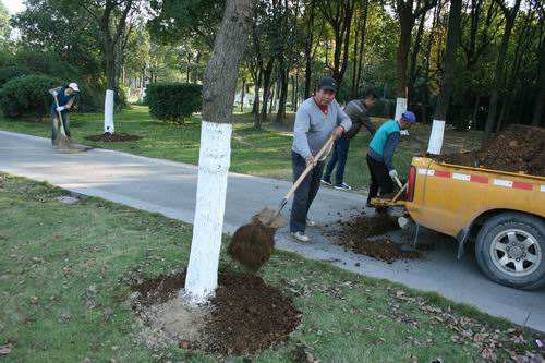 園林植物的養護管理措施