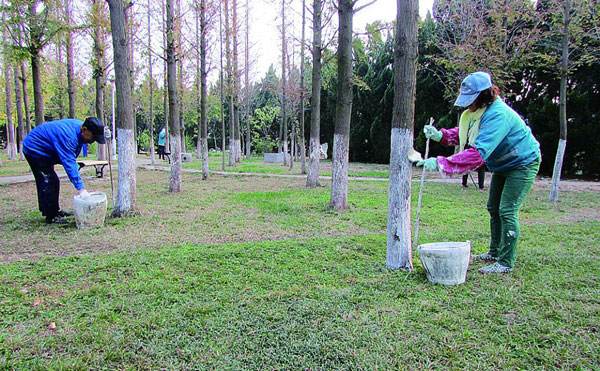 園林植物的養護管理措施