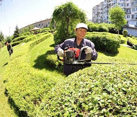 園林植物的養護管理措施