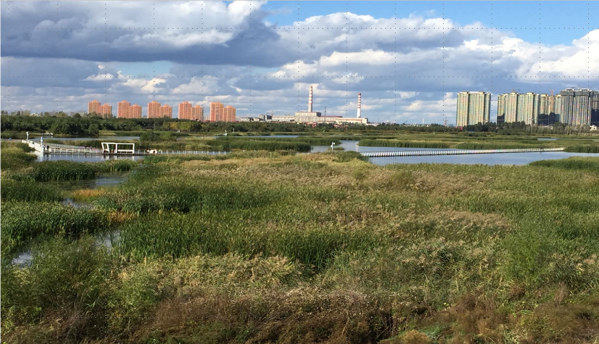 許大為:突破與演變——新理念下的公園城市建設