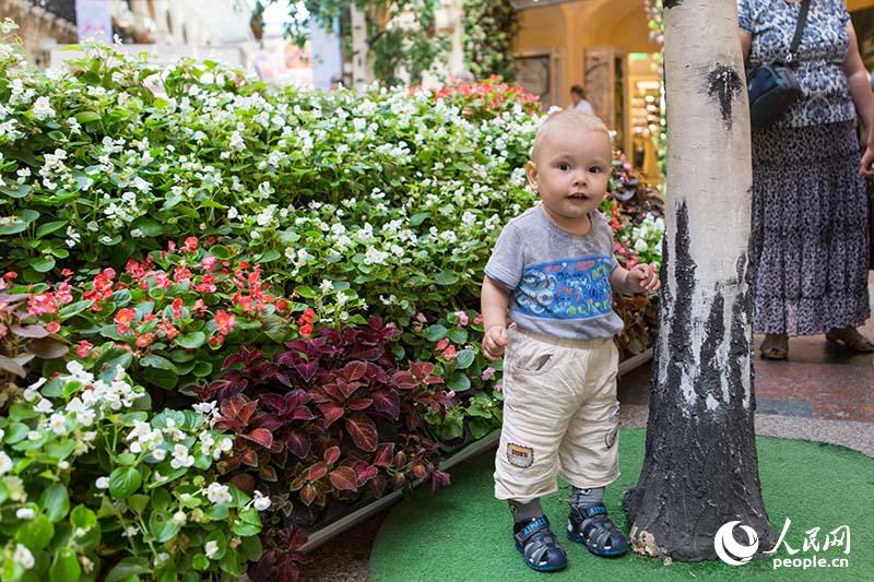 又是一年賞花時 莫斯科花卉節正在進行中