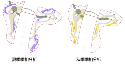 河北省第二屆（秦皇島）園博會花境創意作品——鏡花九象