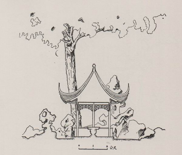 陳從周:不知中國(guó)畫理,無(wú)以言中國(guó)園林