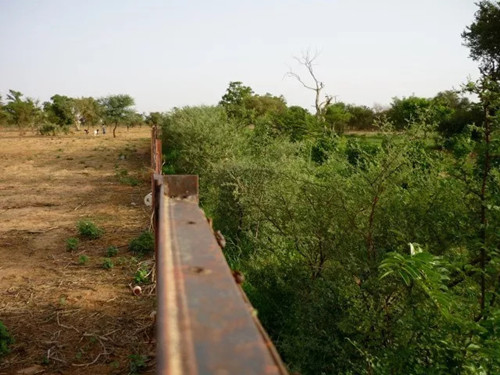 繁榮的森林景觀:實現可持續未來的關鍵