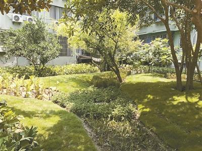 杭州:老小區老建筑如何享受海綿城市福利