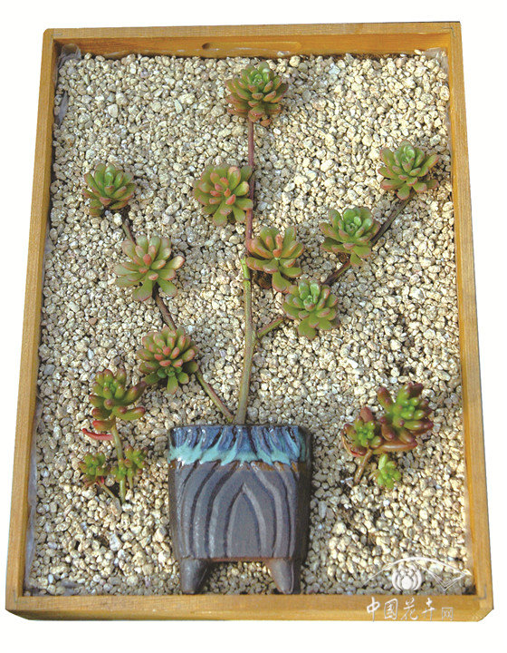 趣味盎然的二維畫意小品